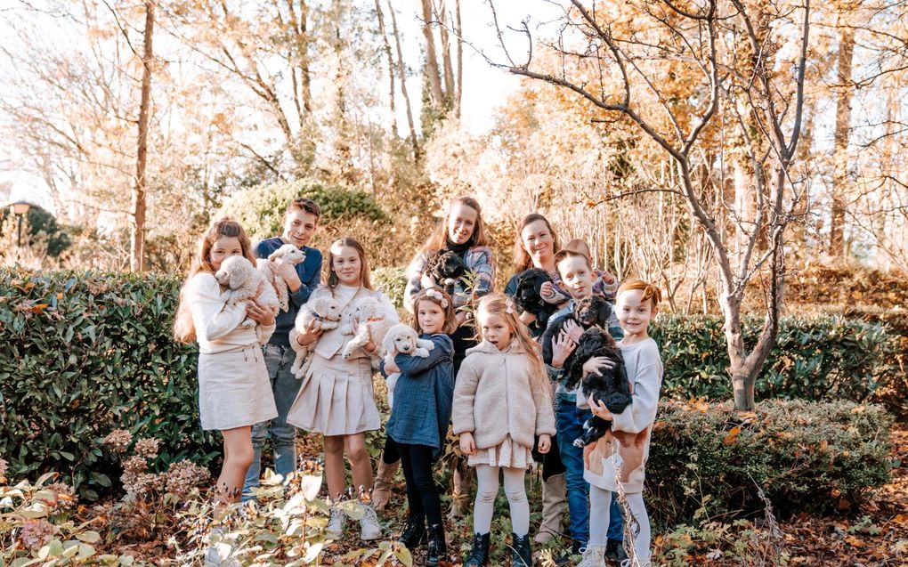 „Je moet vooral aan een nestje puppy’s beginnen omdat je het leuk vindt”