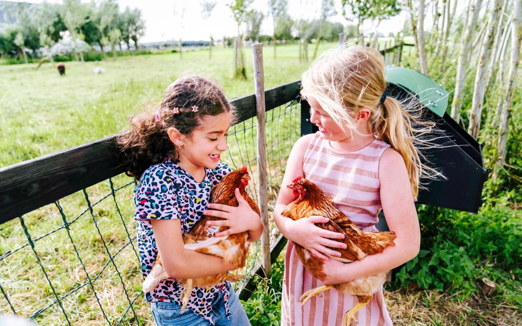 Schuilen bij Huis van Hoop