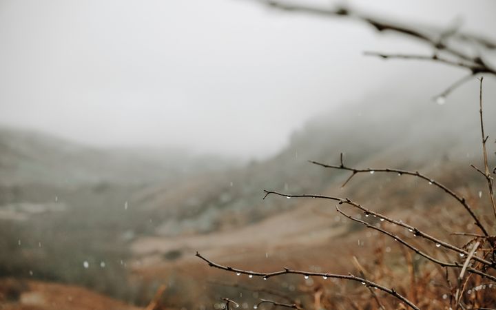 herfstig heuvellandschap met regen