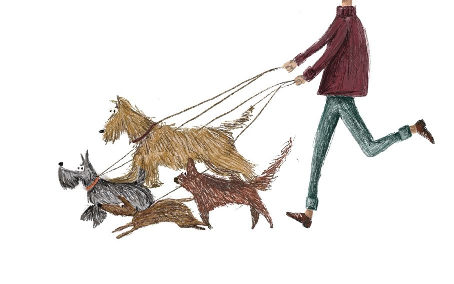 Bang voor alles wat hond heet